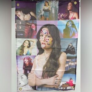 Olivia Rodrigo Music Flags 2X3 Ft